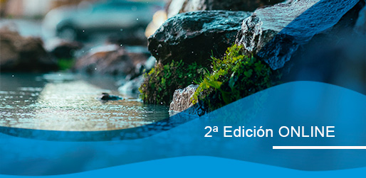 Máster en Tecnologías y Gestión del Ciclo Integral del Agua 2ª edición  online      
